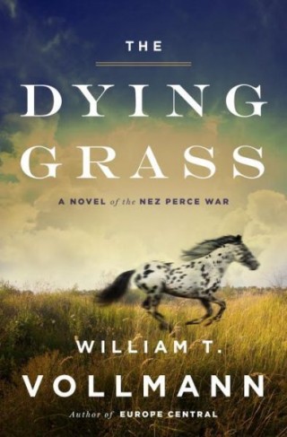 dying grass